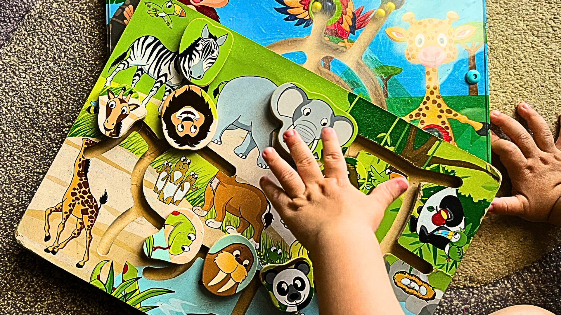 Καλοκαιρινή Οργάνωση Σπιτιού: Οι πιο Σημαντικοί Χώροι για Ξεσκαρτάρισμα